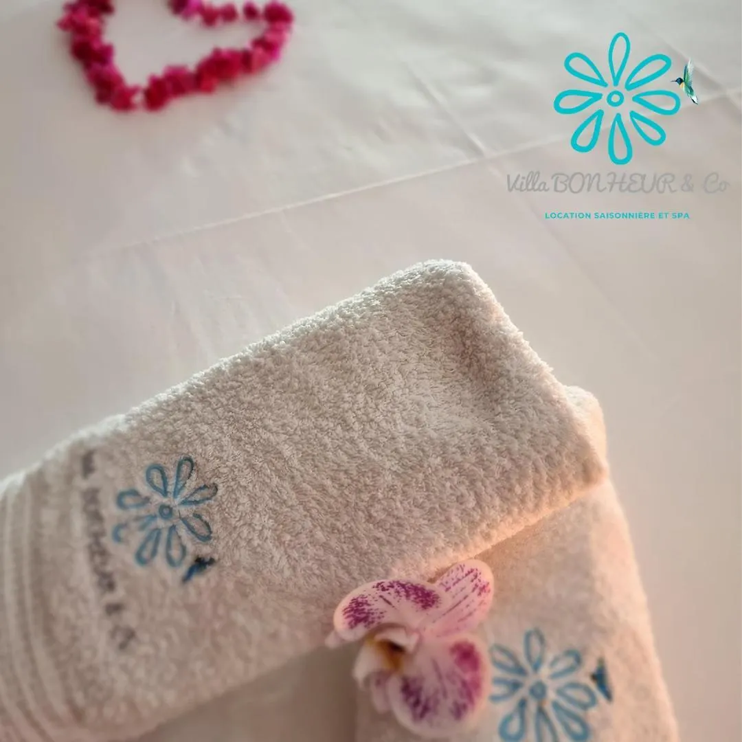 Villa Bonheur & Co _ Spa Riviere-Salee