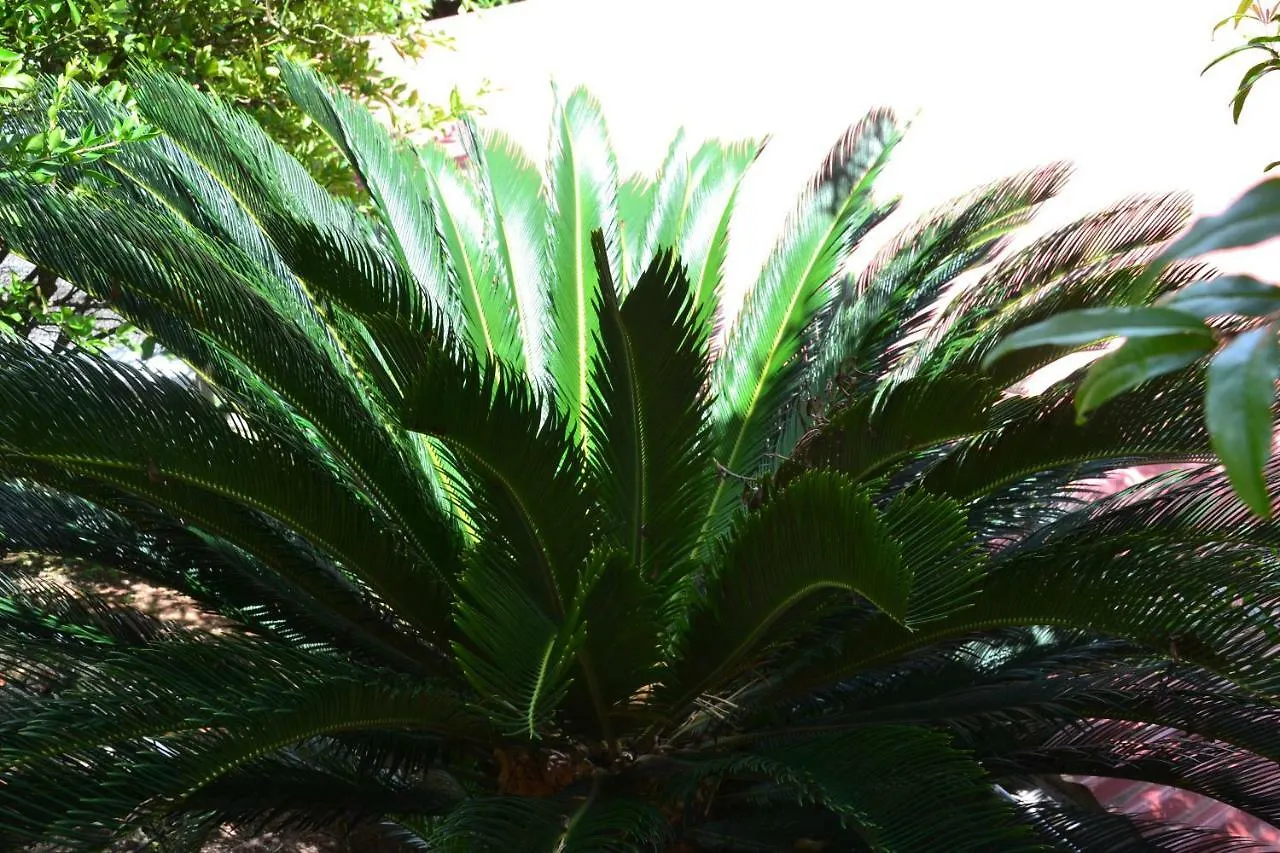 Villa Bonheur & Co _ Spa Riviere-Salee
